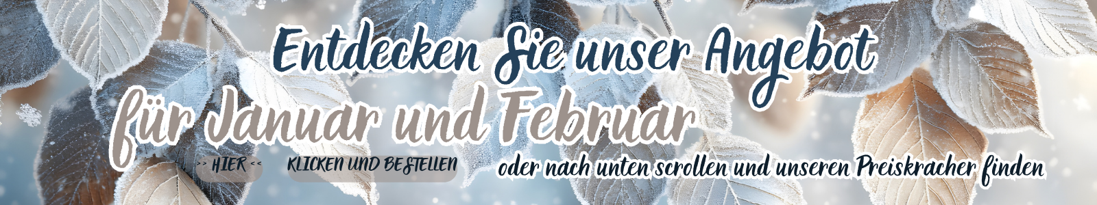 Januar & Februar 2026